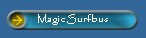 Magic Surfbus